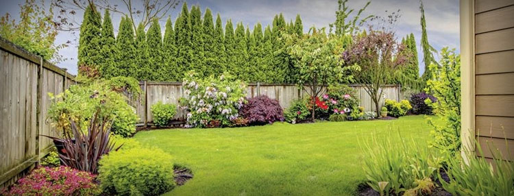 Prime Landscaping